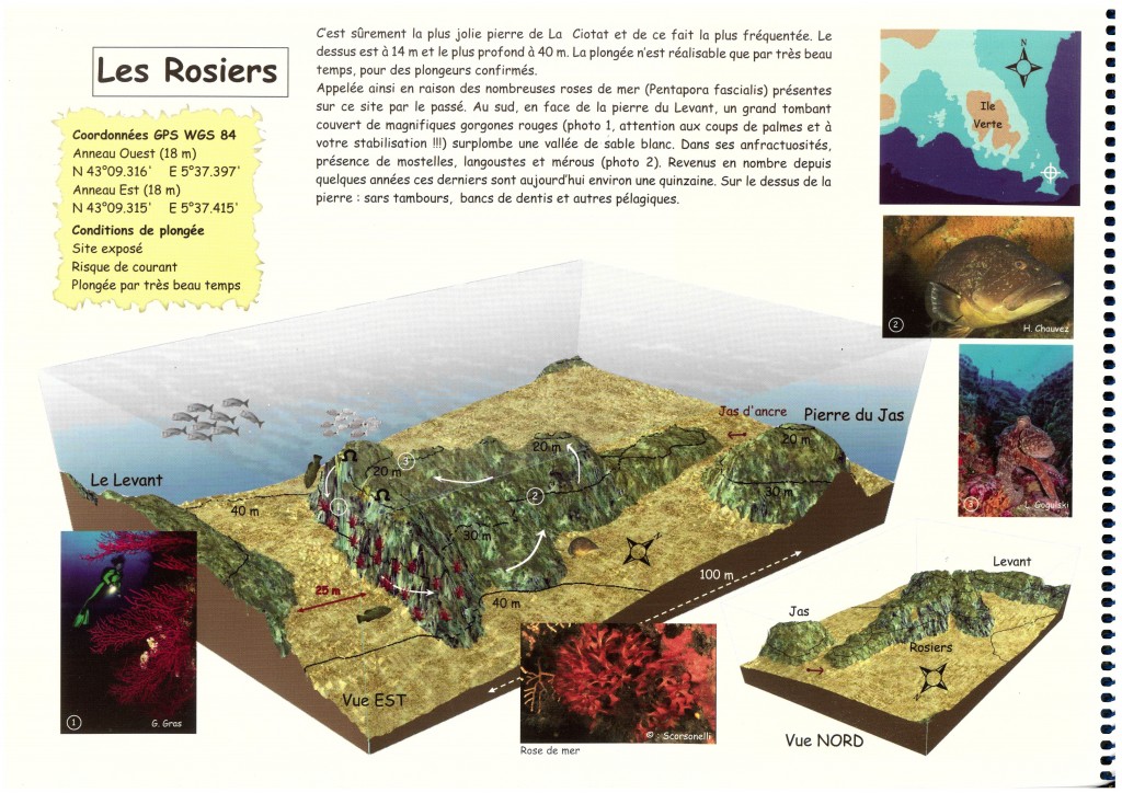 Les-Rosiers