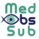 MedObs-Sub - Logo (blanc)